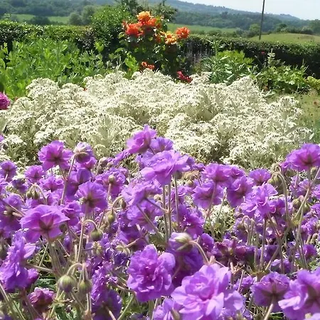 Guest house Shallowdale House