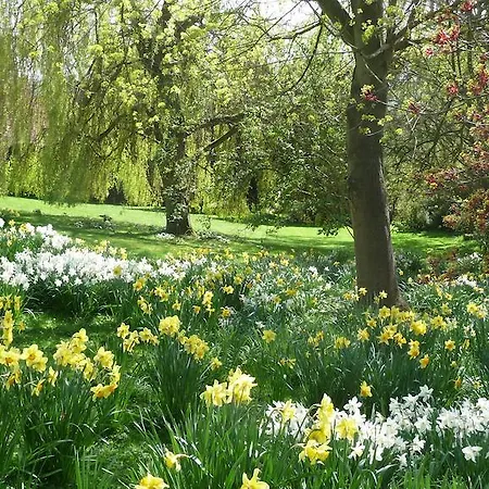 ゲストハウス Shallowdale House 4*